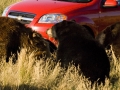 slider-website-Cars20100043small
